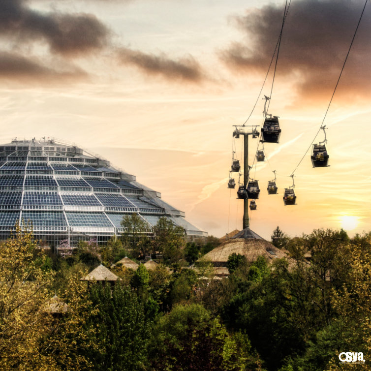 Zoo de Beauval Exploration Photographique